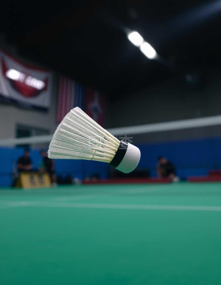 后的故事 后的故事