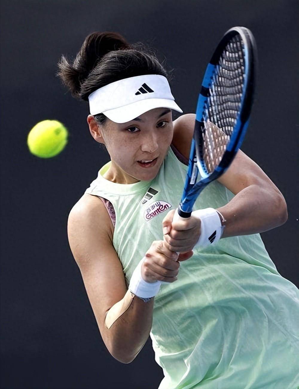 的薄雾与霓 的薄雾与霓